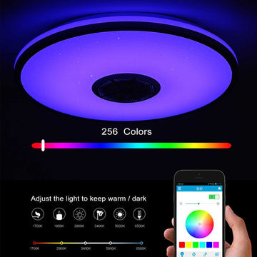Graffiti WiFi smart Bluetooth ceiling lamp