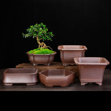 Yixing Purple Sand Orchid Pots Classical