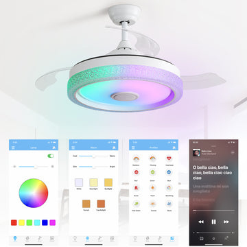 Plastic Remote Control Ceiling Fan