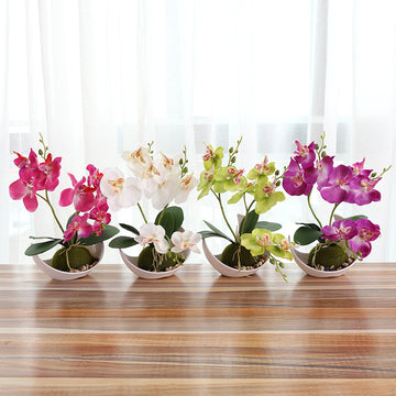 Creative Decoration Plants Potted Green