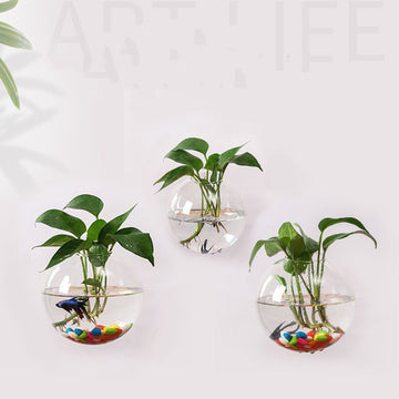 Hanging Utensils Hanging Wall Glass Flower Pots